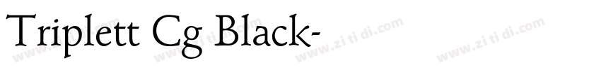 Triplett Cg Black字体转换